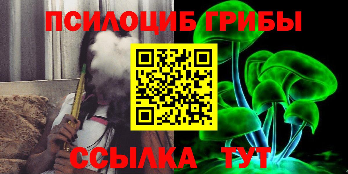 Галлюциногенные грибы Psilocybine cubensis  Вход с VPN  Гурьевск 