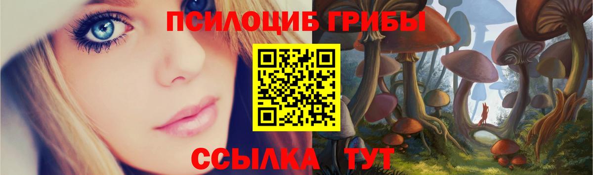 Галлюциногенные грибы Cubensis Гурьевск